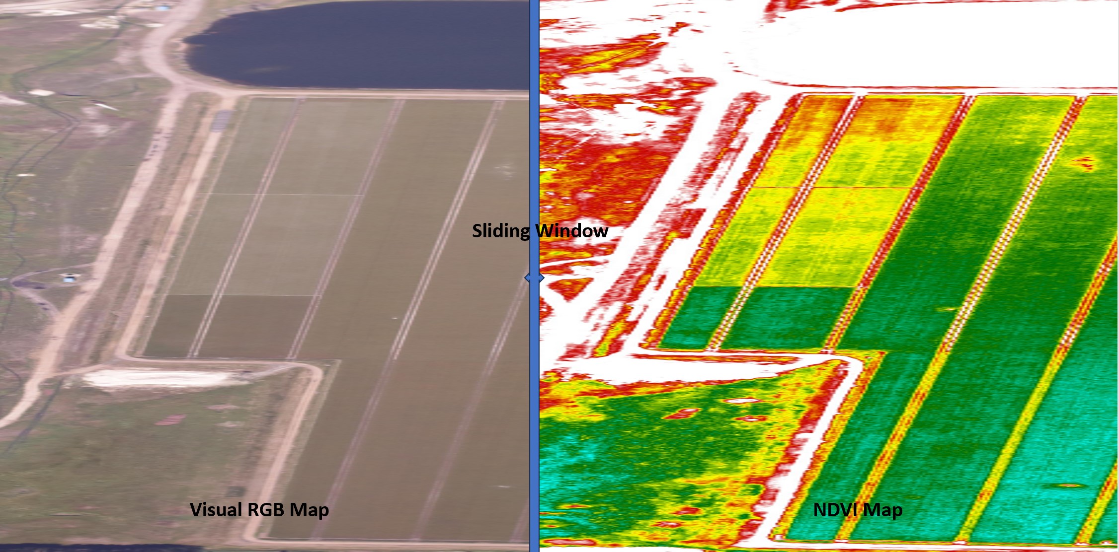 Stress Detection in Cranberries